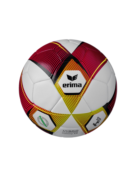 Erima HYBRID Training 2.0