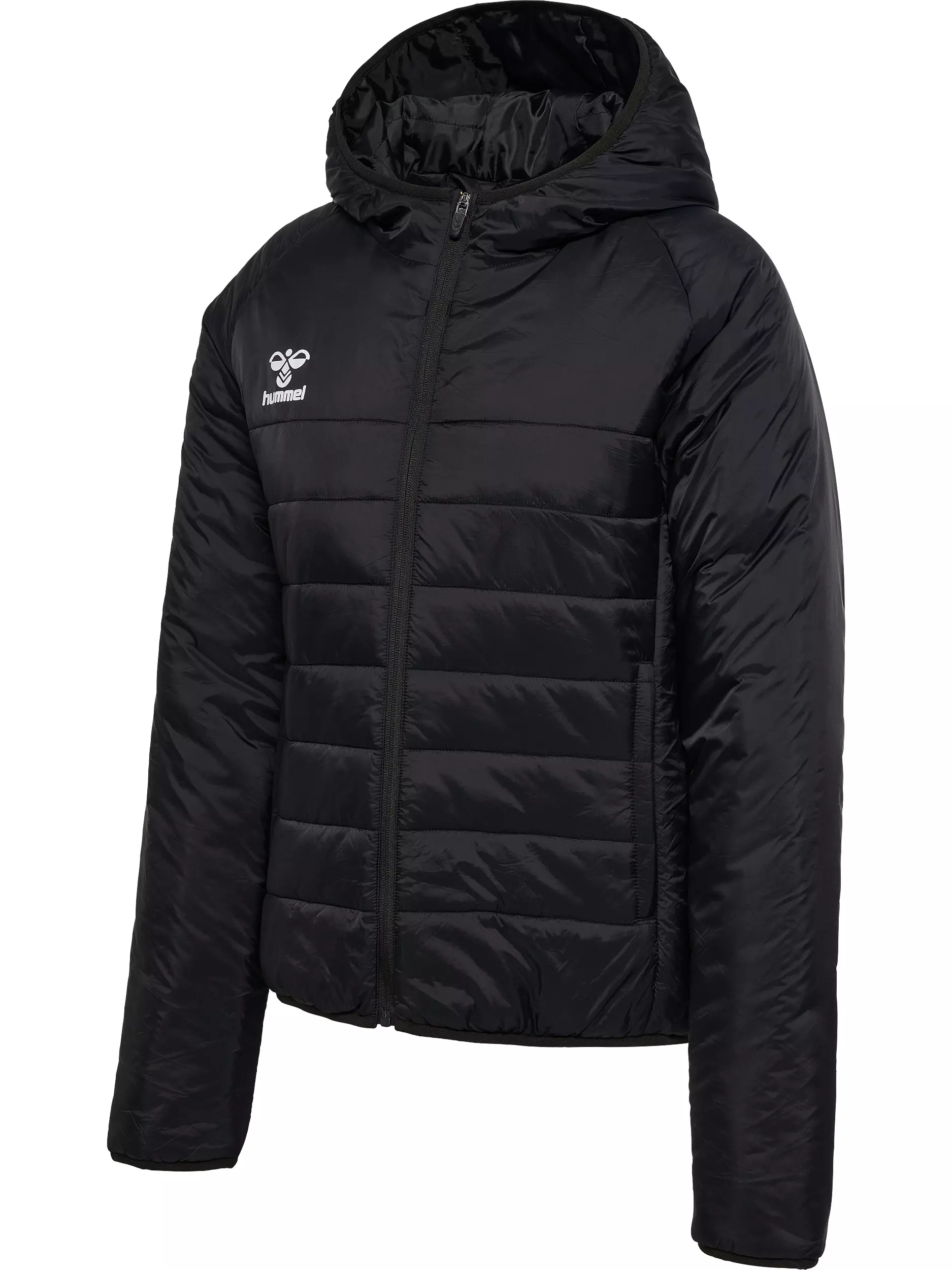 Bekleidung, Mantel, Jacke, Kapuzenpulli, Sweatshirt